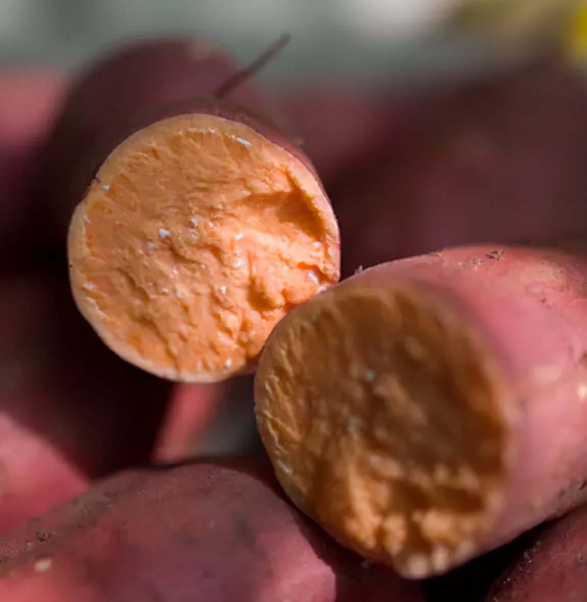 农家新鲜红心地瓜,好吃无公害