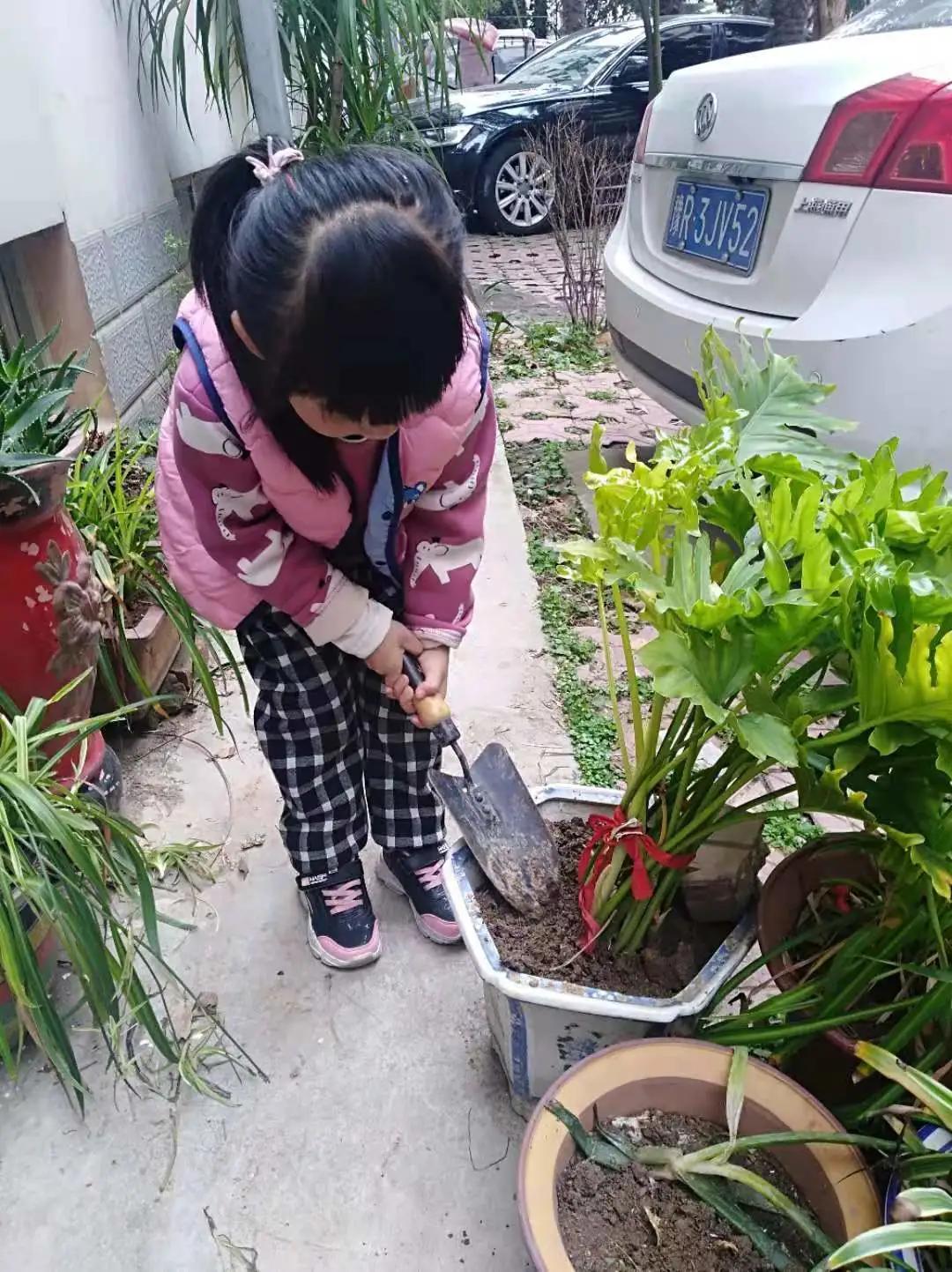 ��֮��.ֲ�̻���--�����еھ�Сѧֲ���ڻ��Ӱ