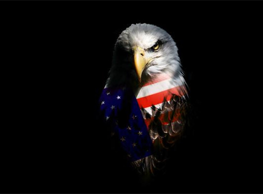 美駐華使館鼓動�和平抗議�，中國網友一片罵聲，華春瑩犀利回應