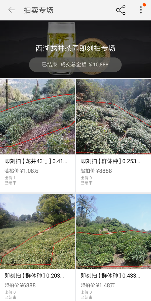 Tea garden " contract " go out, I raise you! 