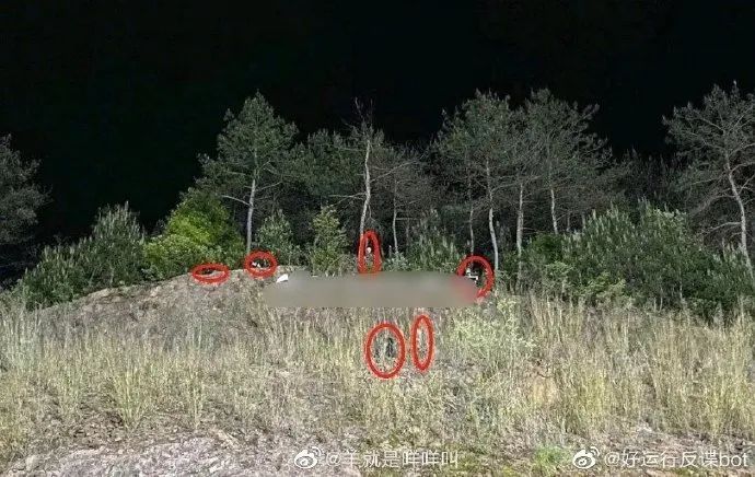 王一博李现抵制，吴京胡歌怒斥，是谁被人人喊打？