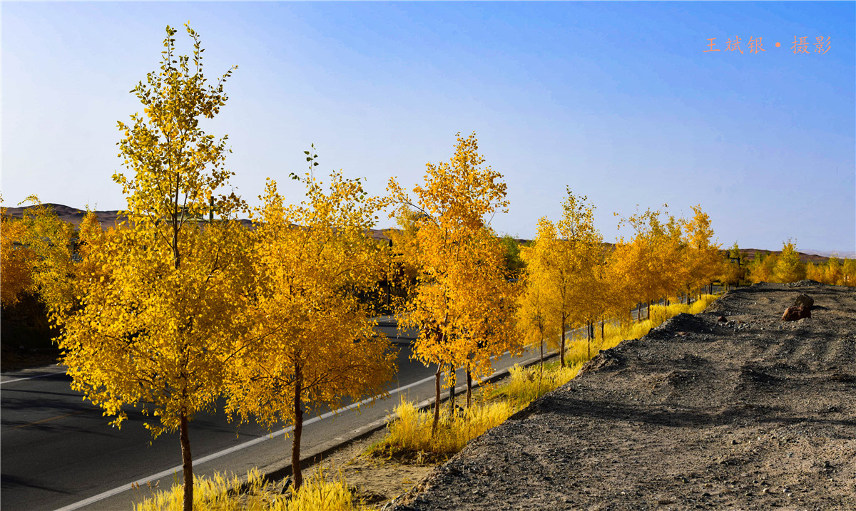 ��һ����˵�����������ȥ���ؾ����������鵽��