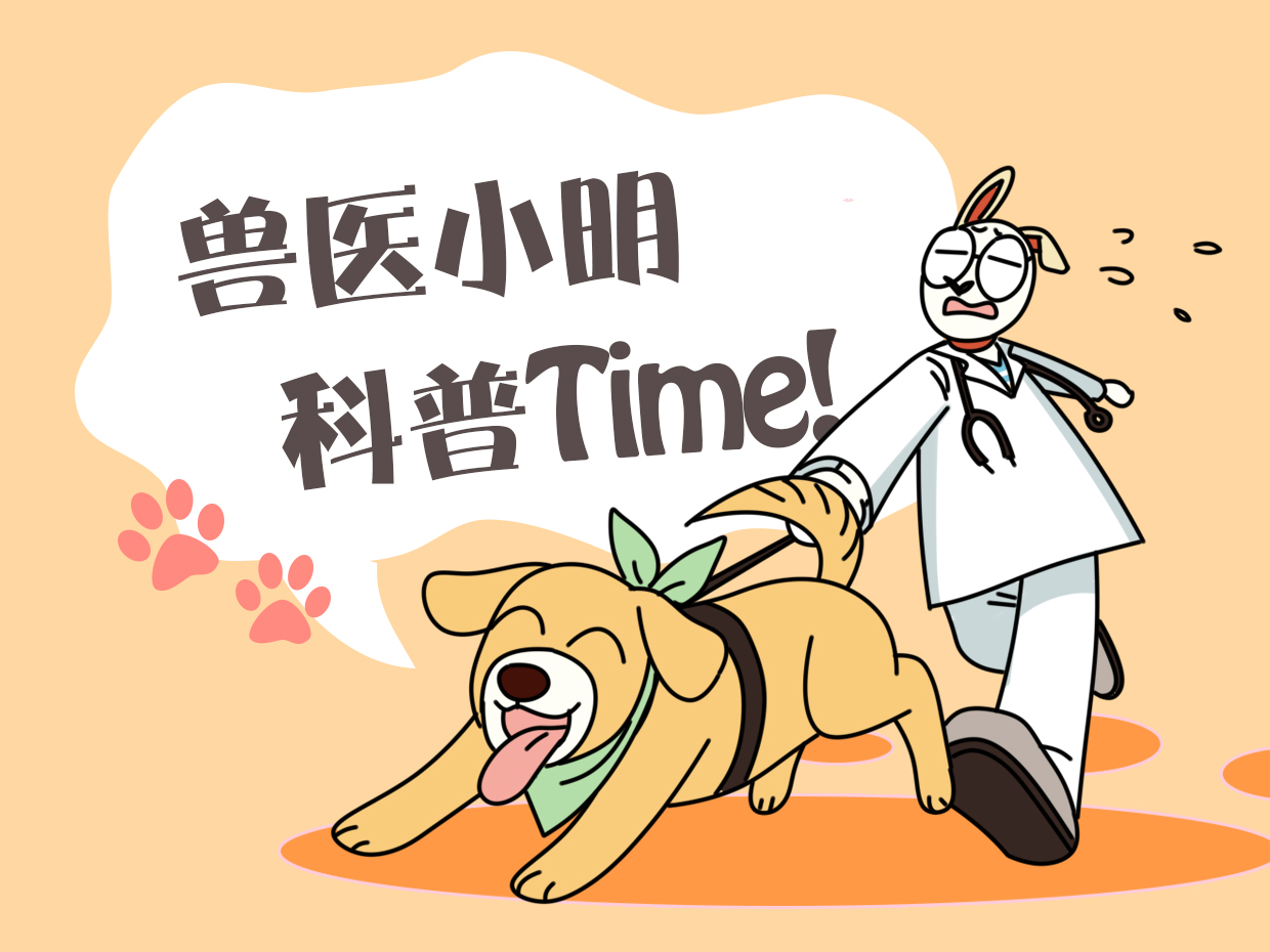 小女孩头上顶着1只鸡，凑近后发现画风清奇：内心的激动难以掩饰
