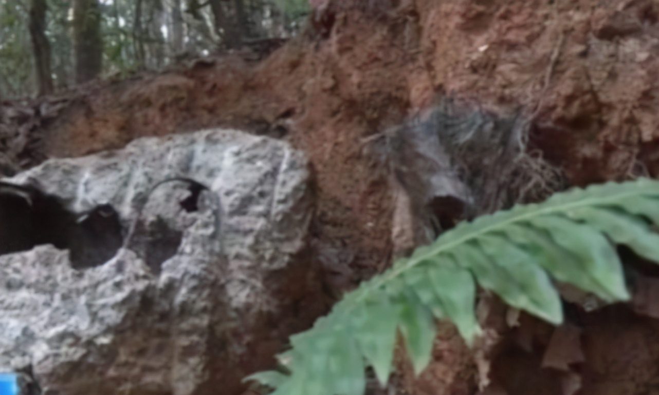 駐日美軍瀟灑撤離，卻給日本埋下�定時炸彈�，引發民眾集體抗議