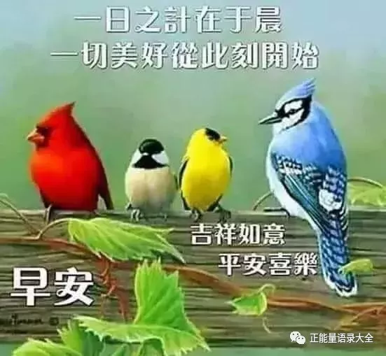 早安最美好的祝福图片带字，愿你每天都拥有一份好心情图片
