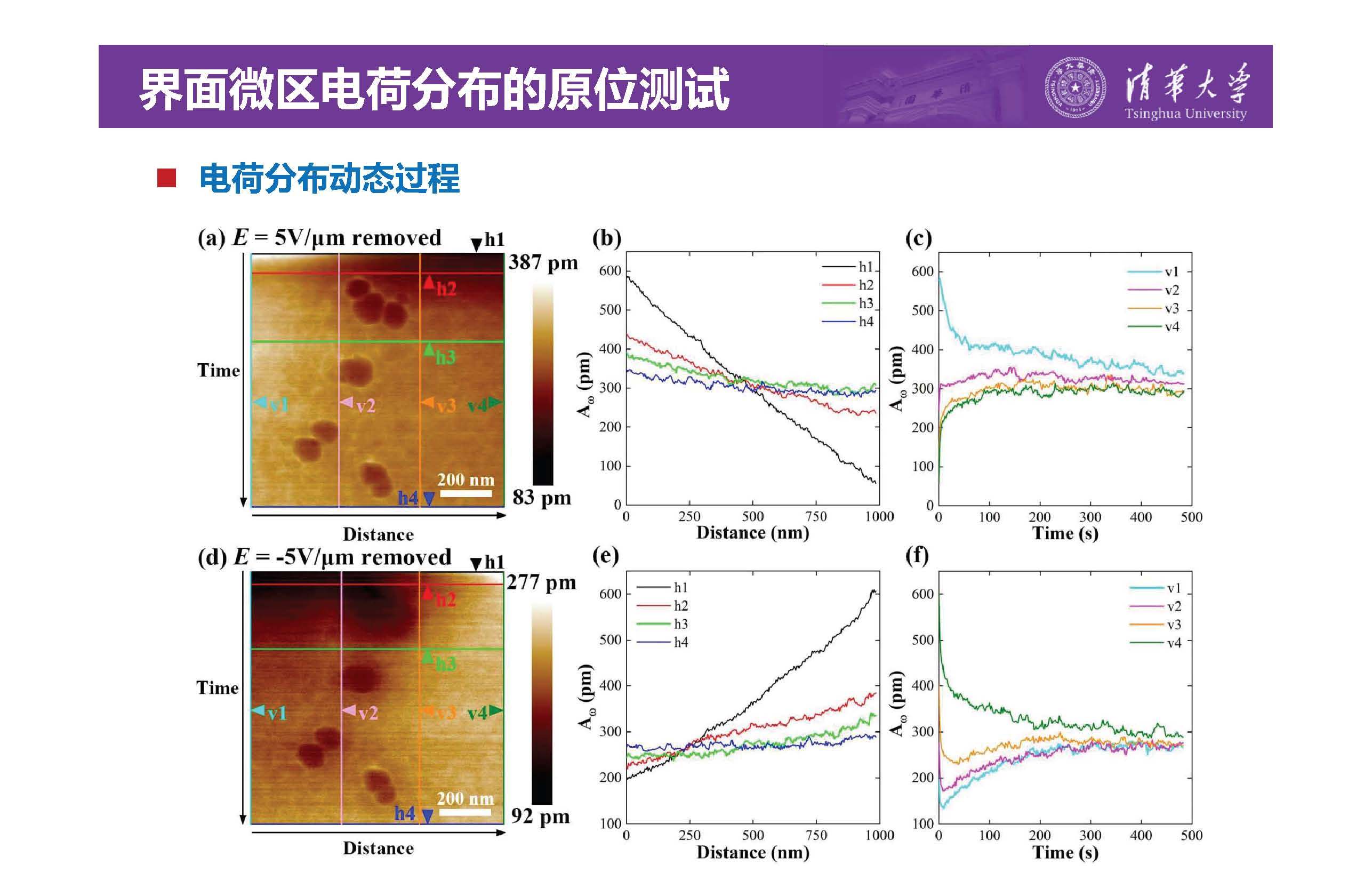 清華大學李琦副教授：介電納米復合材料界面微區的原位測試技術