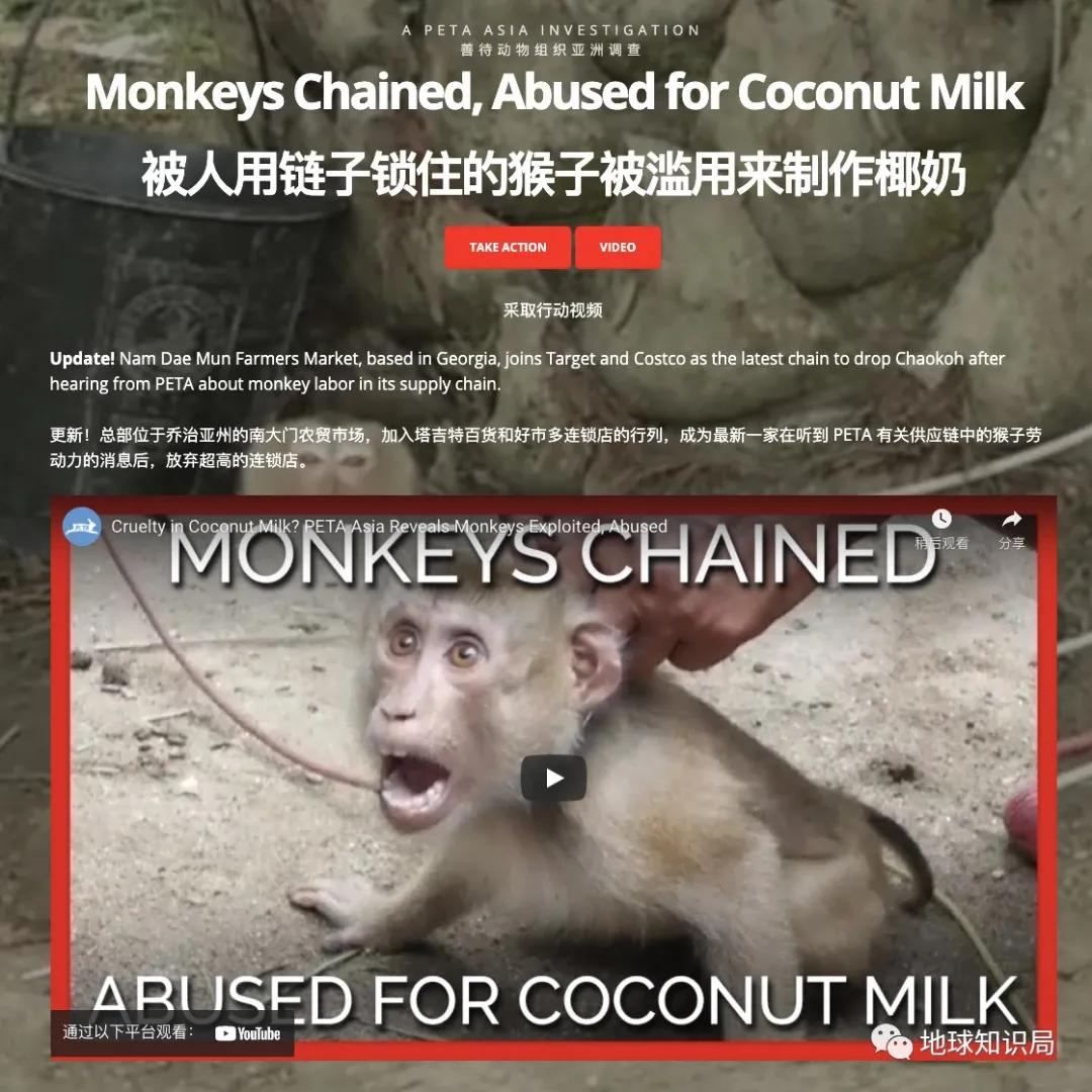 泰國猴子，有苦說不出 | 地球知識局