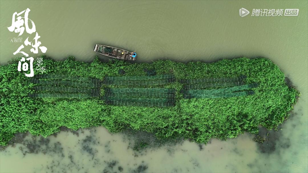 纪录片营销难？从《风味人间2》洞察产业变革与