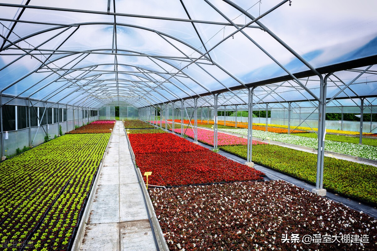 温室大棚蔬菜种植的几大误区，你知道多少？