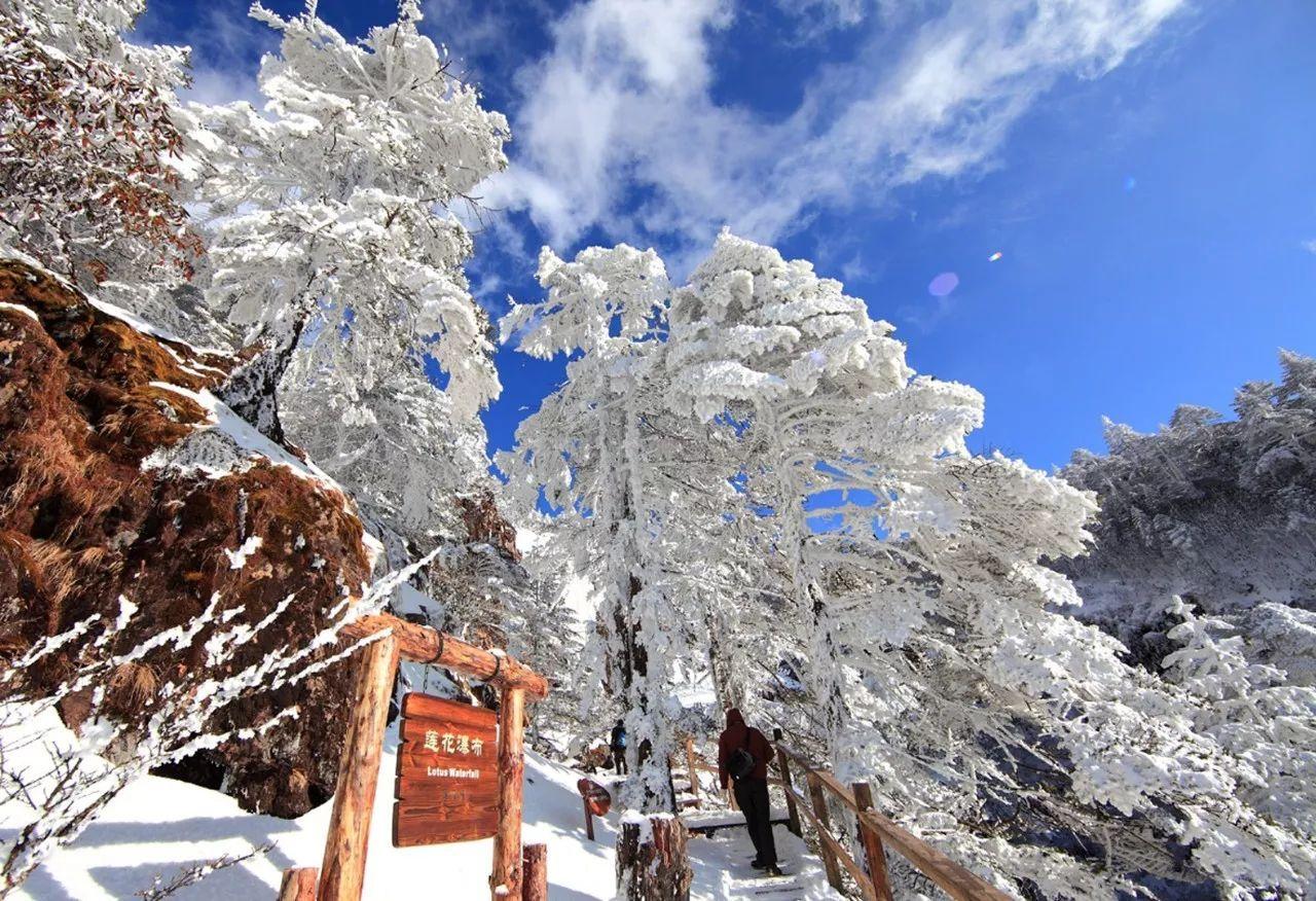 持续降温！昆明这里可以看雪