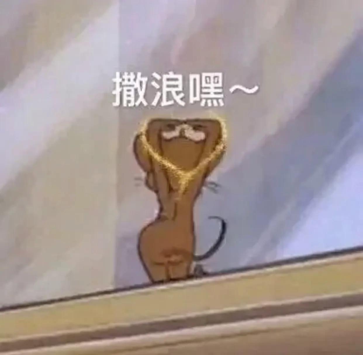 有点毛病的沙雕文案.