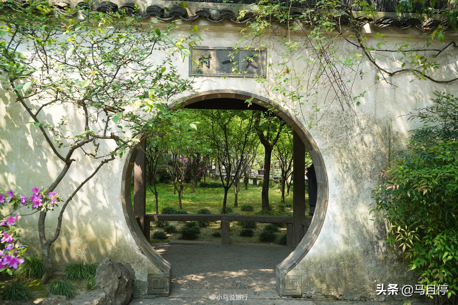 Check in the niche gardens in Suzhou, the exterior looks ordinary, but the scenery inside is rich and beautiful