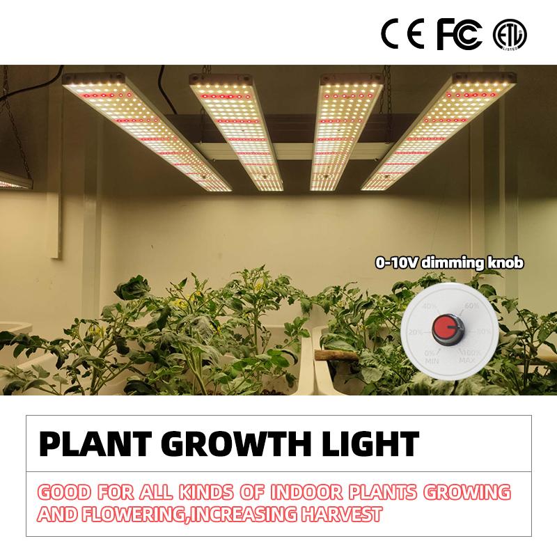 植物生长灯的主要分类和应用