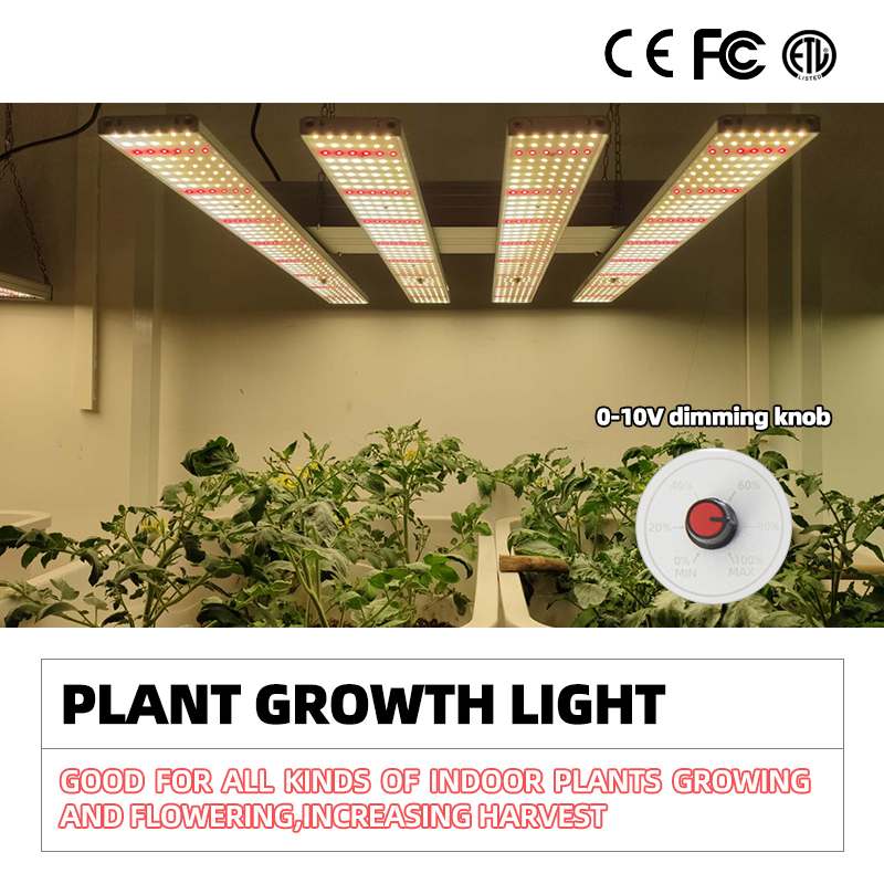 植物生長燈的主要分類和應用