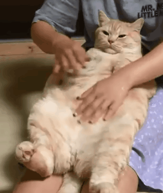 330_391gif 动态图 动图