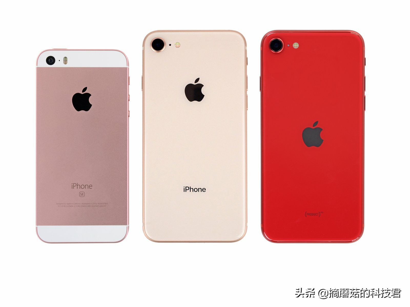 Iphone Se2最简短使用体验 科技以换芯为本 Mp头条