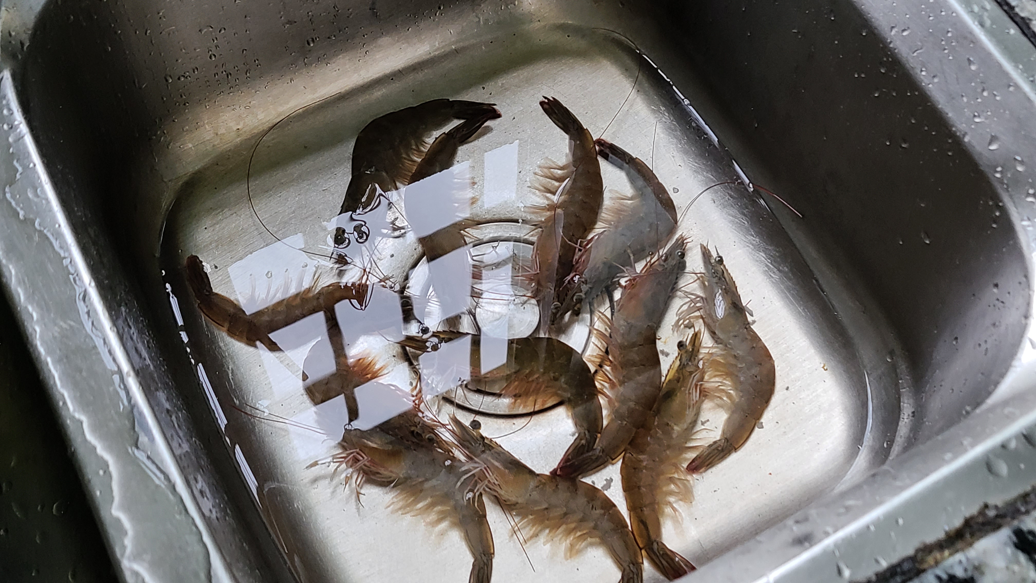 广东很好喝的海鲜粥，9分钟就能熬得又浓又稠，味道鲜美