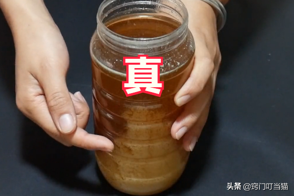市面上“假蜂蜜”太多？只需看这“3个地方”，真假蜂蜜一目了然