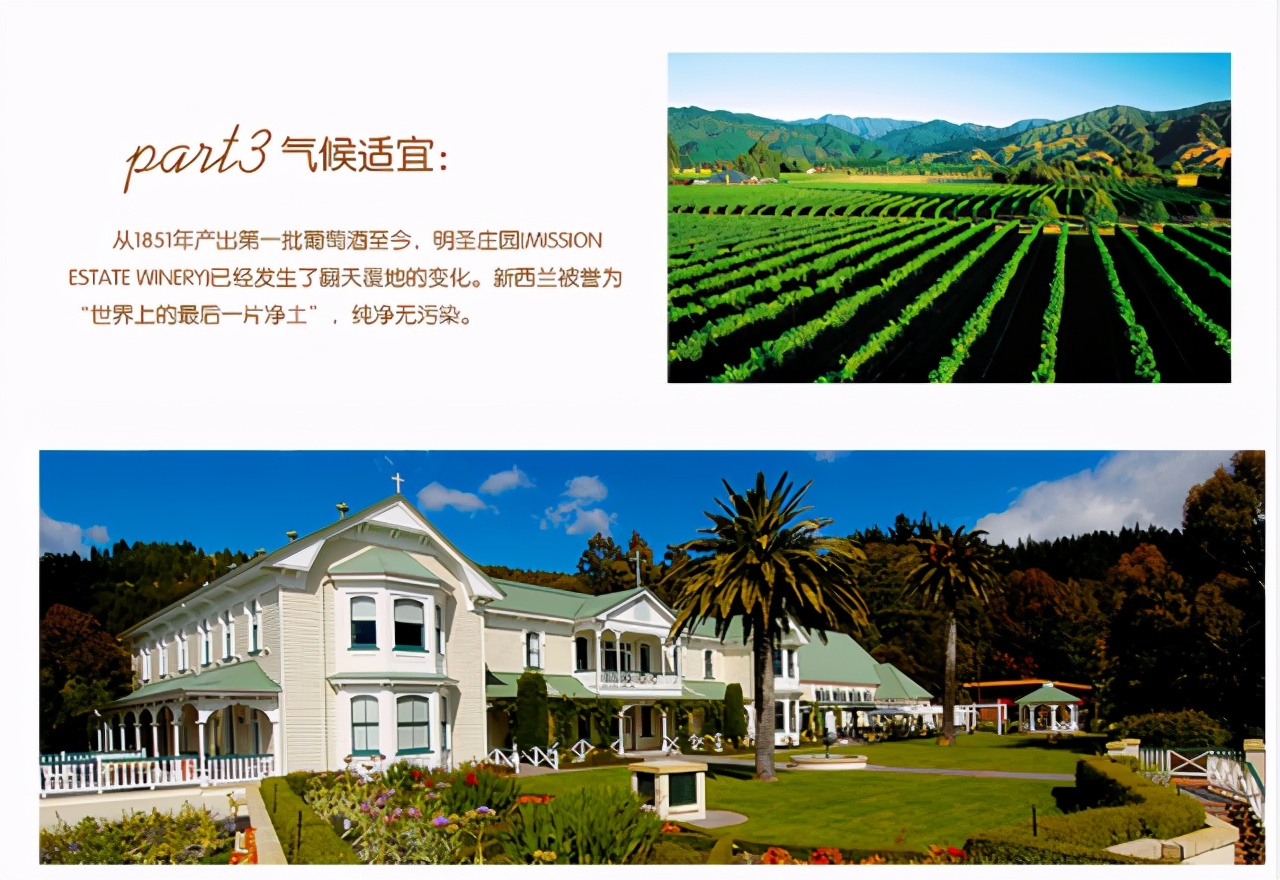 新西兰最古老的酒庄——明圣酒庄