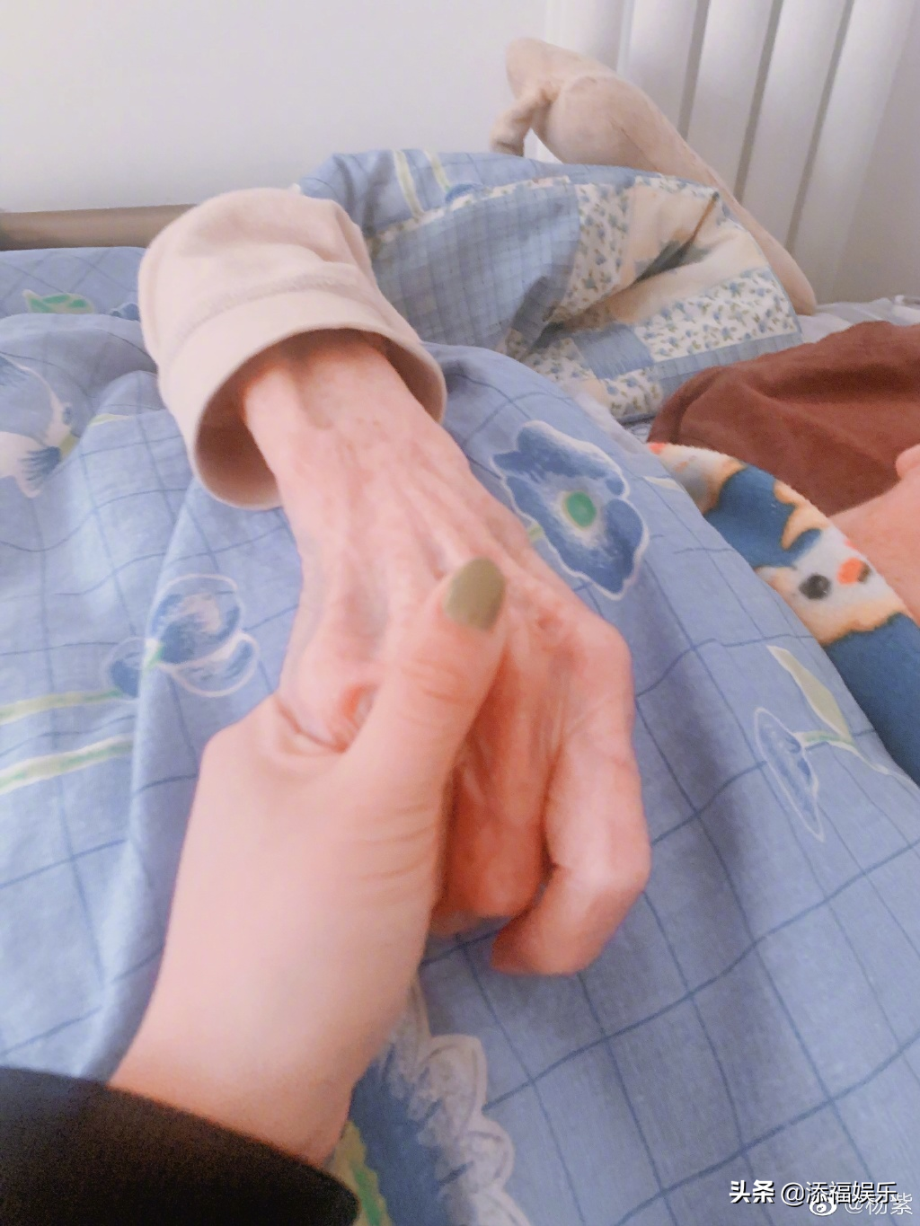 杨紫奶奶疑似病重！她晒出和奶奶握手的对比照，言辞让人心酸