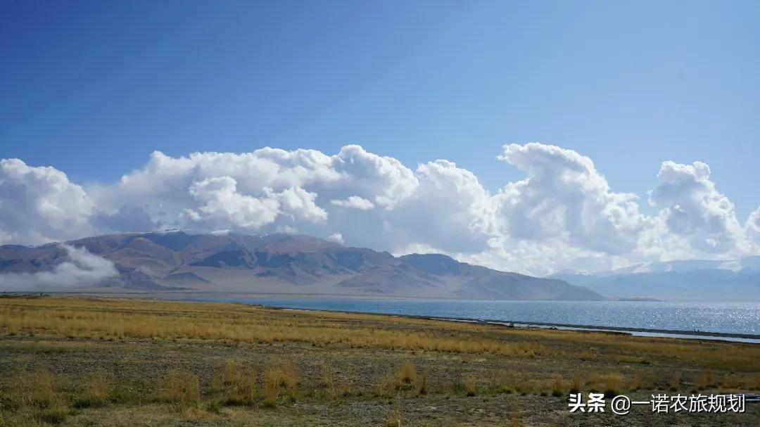 乡村振兴发展各省一览表