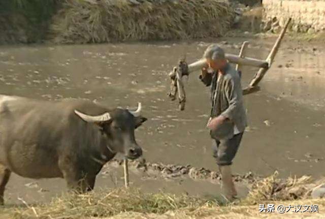 翻拍不是狗尾续貂，有情怀的人都看过这两部电