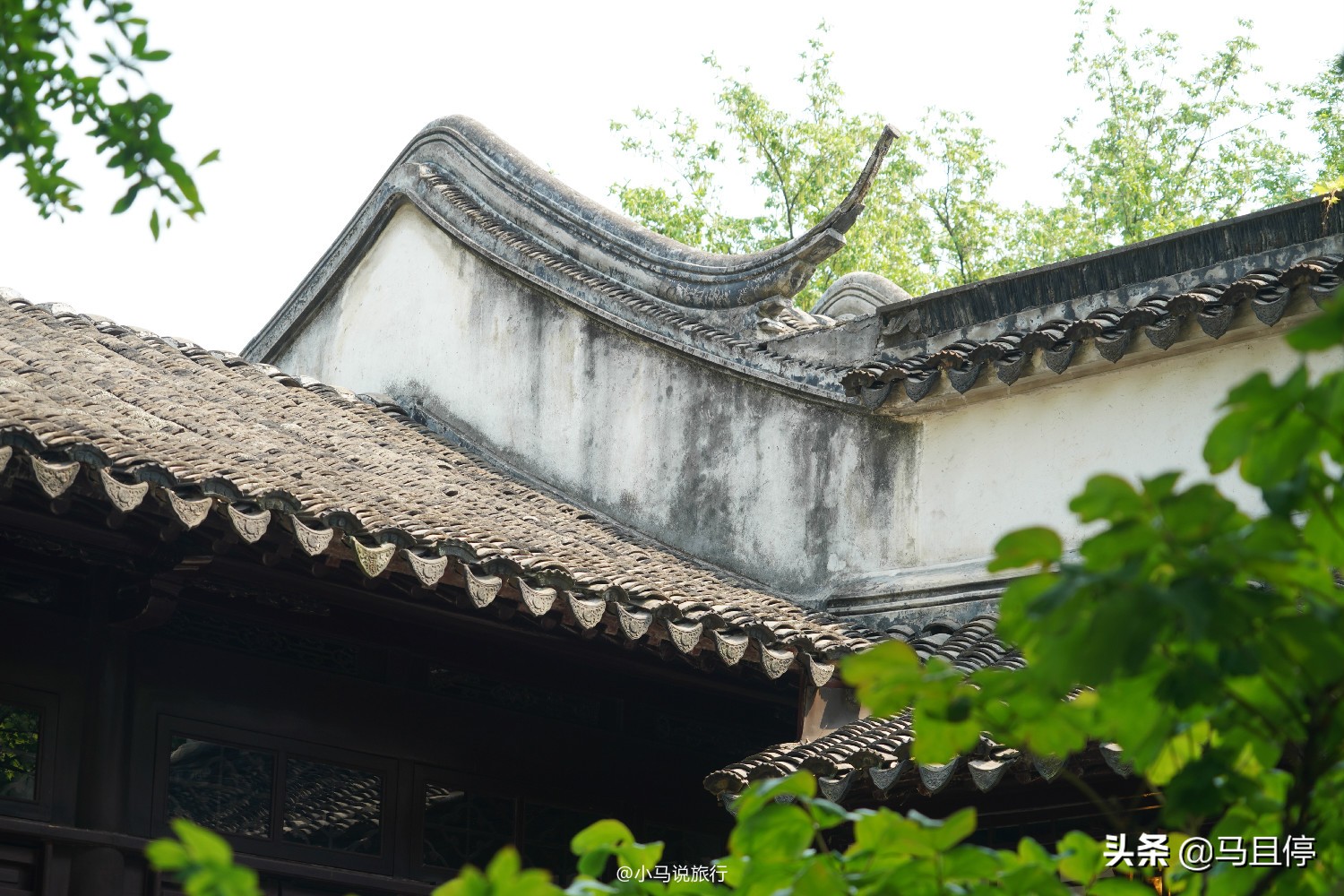 Check in the niche gardens in Suzhou, the exterior looks ordinary, but the scenery inside is rich and beautiful