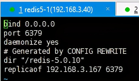 Redis5.0：简单的集群模式——主从模式详解 