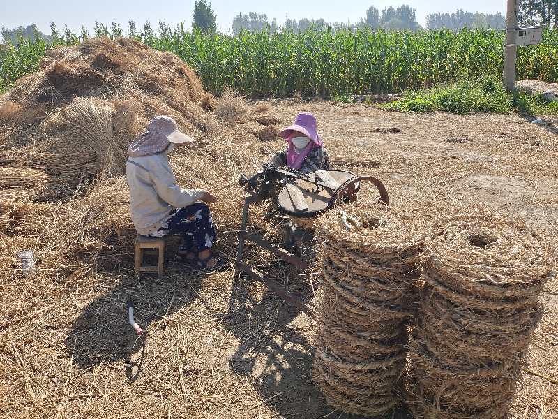 稻草|摄影师用镜头记录稻草帘、草绳制作全过程