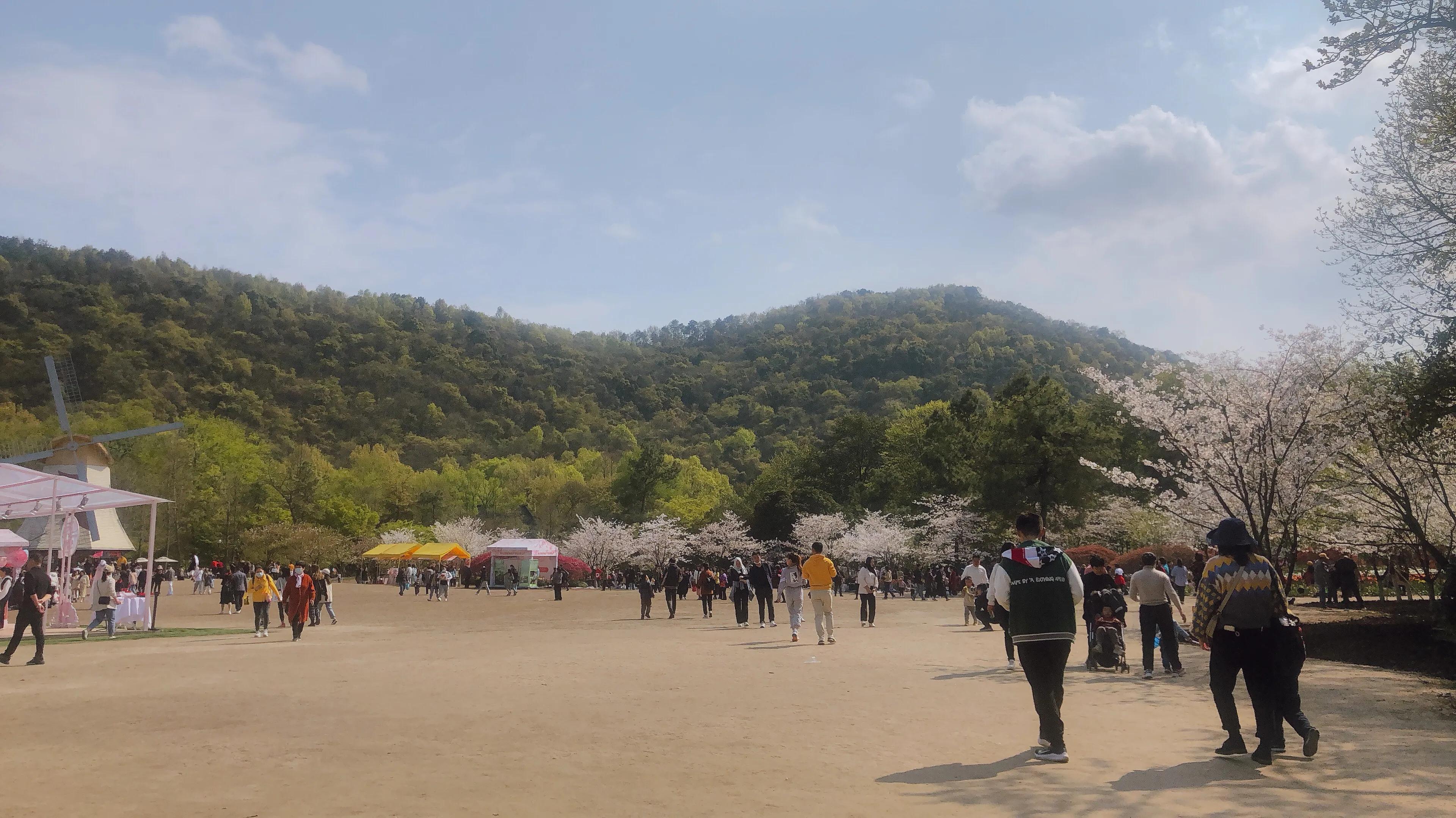 杭州爆紅的太子灣公園 被稱為杭州春天的代表 到底值不值得去 清走旅行 Mdeditor