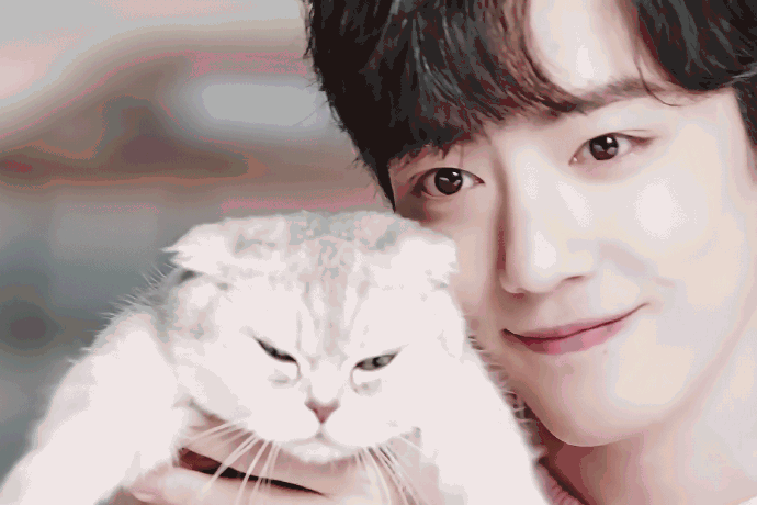 百度人气榜排名第一名你知道是谁，他粉丝为什么如此疯狂？