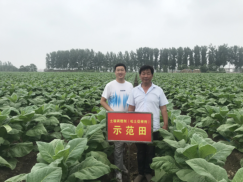 为什么说经济作物种植一定要了解松土促根土壤改良技术