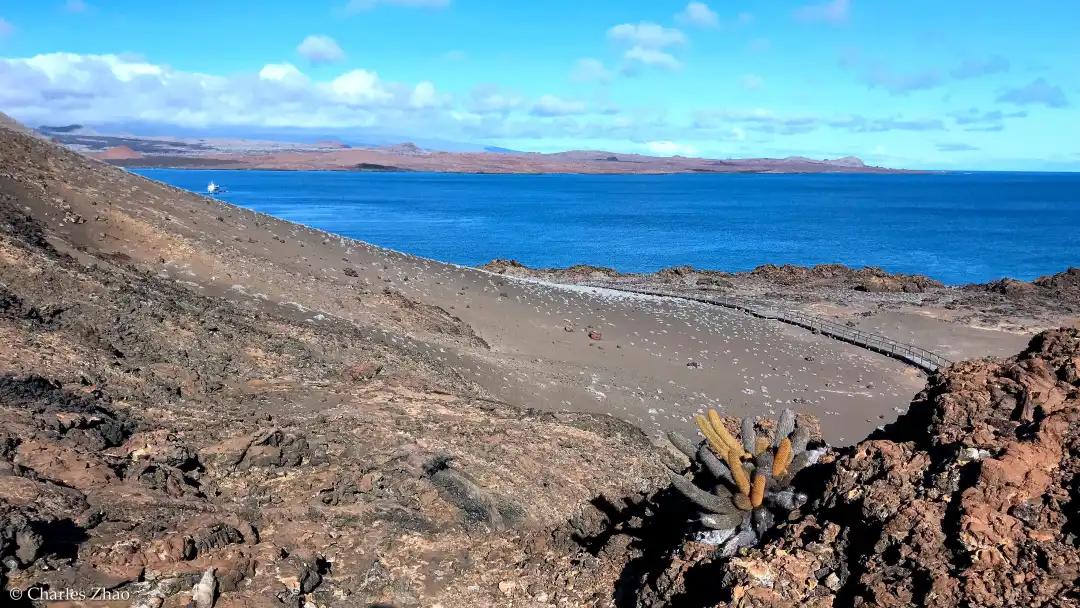 看完BBC《完美星球》第一集火山，梦回奇幻的加拉帕戈斯群岛