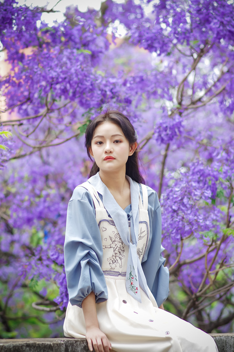 五月初夏 紅塵微雨 藍花楹盈 文美詞新 Mdeditor