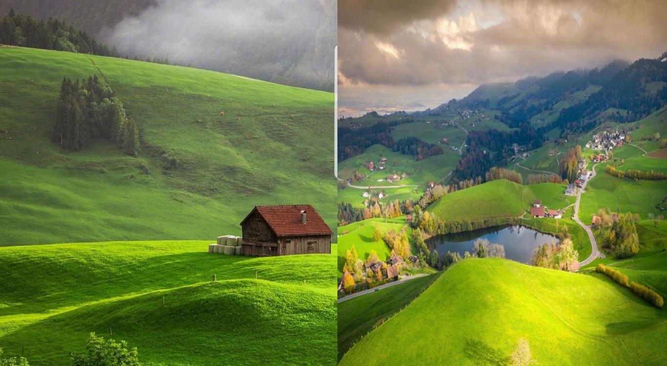 绿色搭配什么颜色好看-绿色最佳颜色搭配图