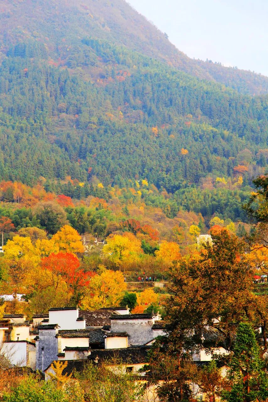 9月份去哪旅游好