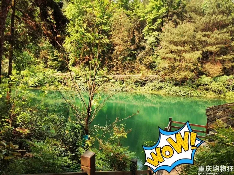 重庆旅游攻略在重庆打卡全世界的最强攻略来了