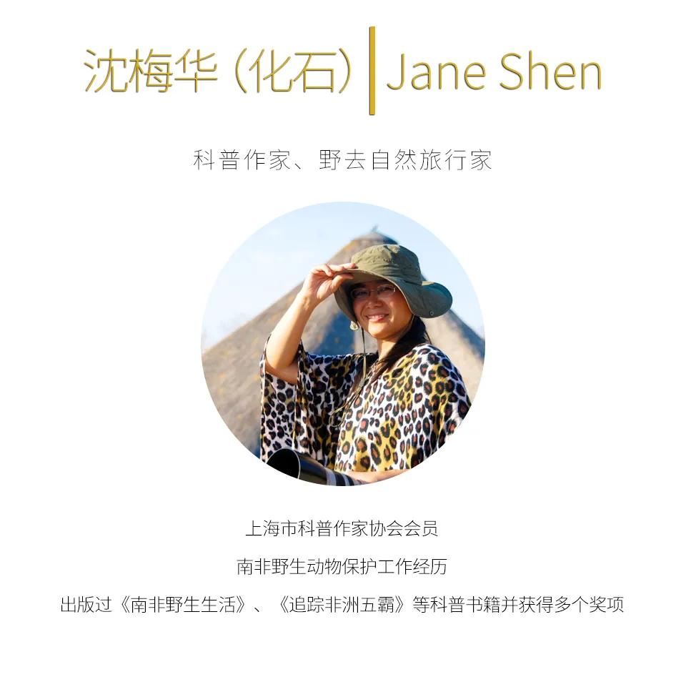 2020盈江观鸟行之三——边境上的和平饭店&小精灵与大个头