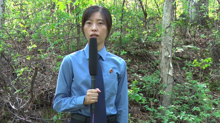 黑龙江双鸭山发现东北抗联六处教室遗址