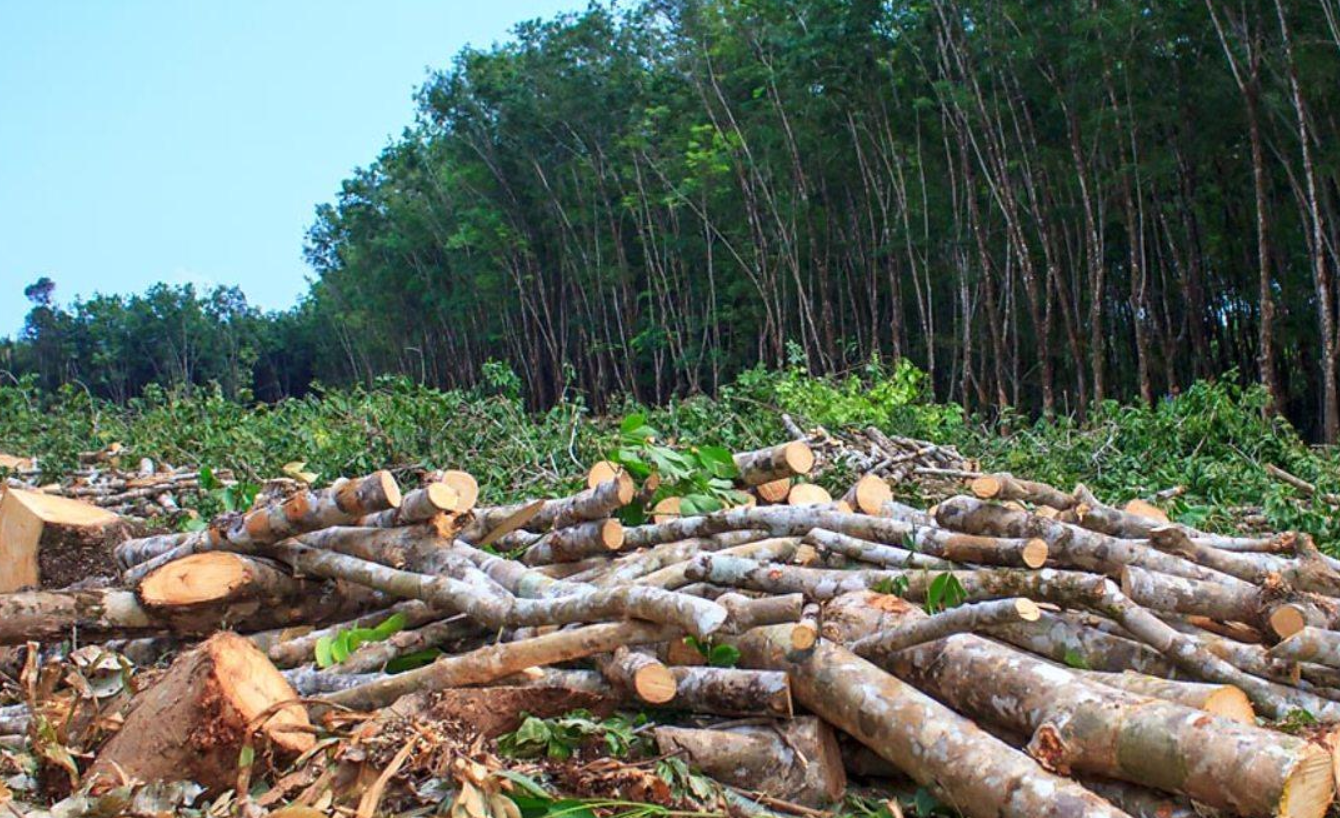 鄱陽湖比汛前大了！水體麵積擴大1.5倍，2021年真有大洪水？