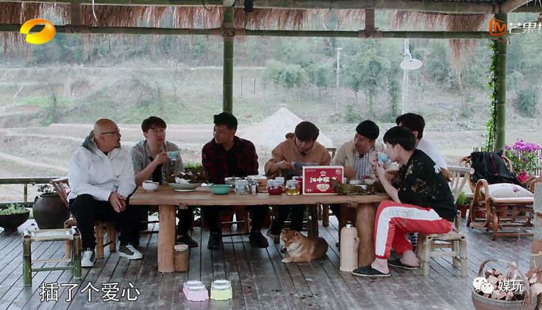 《向往的生活4》首播，今年的蘑菇屋“户型”太牛，摄像机零穿帮