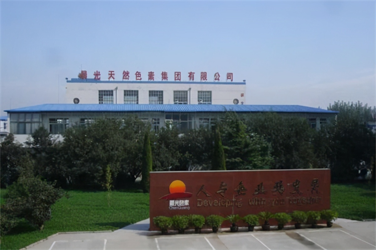 小县城的中国公司，却创造出3个世界第一，独占全球80%的市场