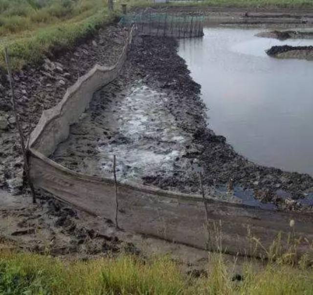 淤泥过厚的四大危害