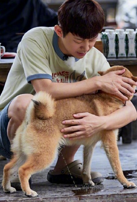 周震南与学妹的沙雕错位图，这些明星错位照让