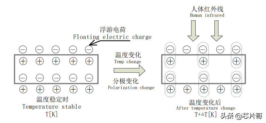 工程师，解密86盒型自动感应开关产品的电路设计方案