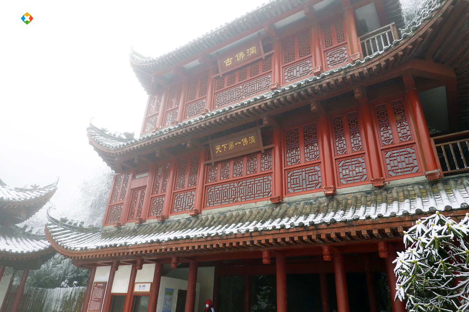 重庆金佛山冬日游：这个国家级5A景区，是不是真的徒有虚名？