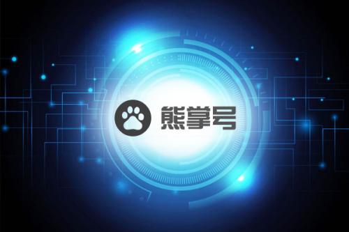 教你如何通过熊掌号优化网站