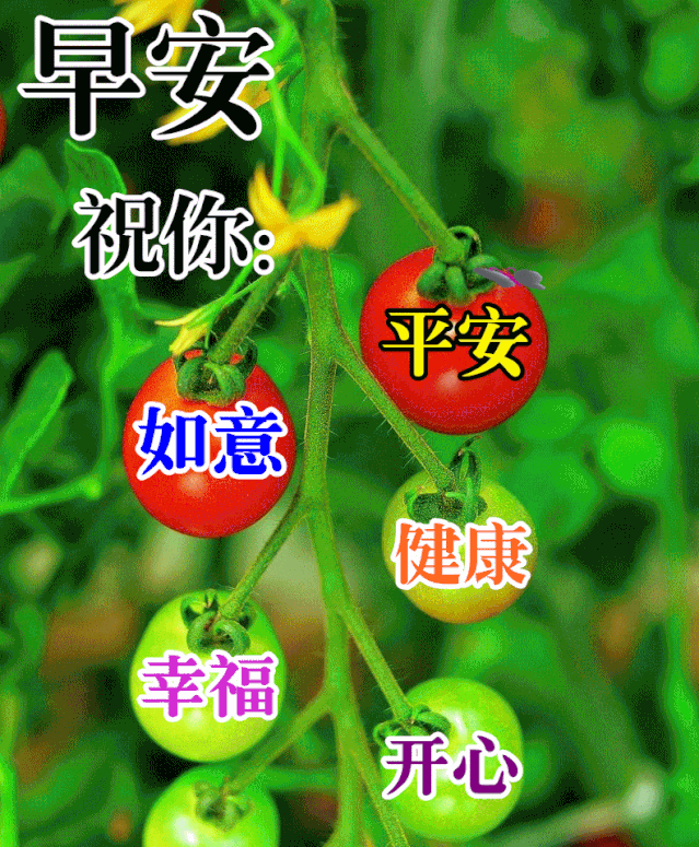 美好的一天早安的说说 很有内涵的早安的说说图片