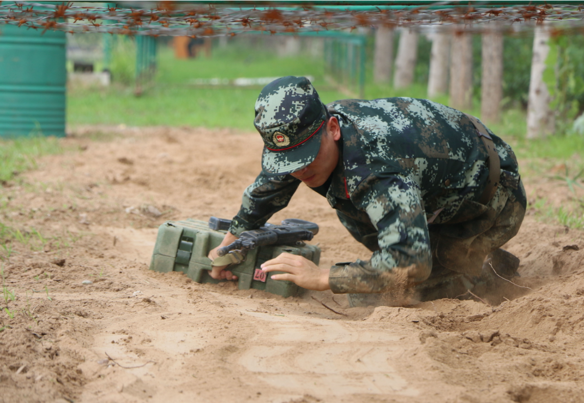 澳洲教蔡英文對付大陸？ 呂秀蓮：台灣恐�炮聲連連�