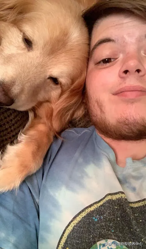 金毛因太凶要被安乐，男子勇敢收养后发现，它